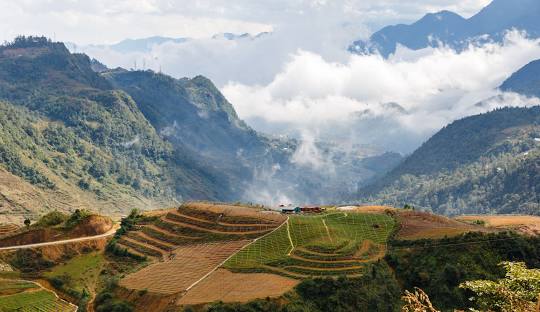 Sapa